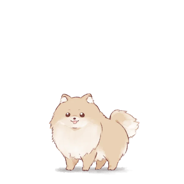 ポメラニアンのワンコの姿
