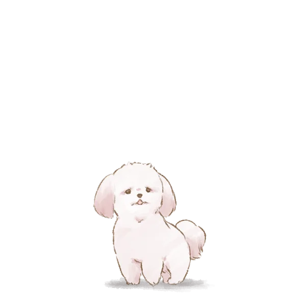 ラサ・アプソのワンコの姿