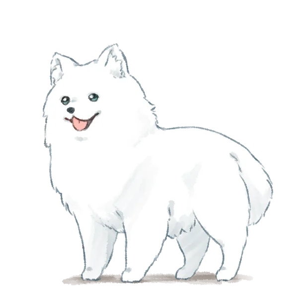 サモエドのワンコの姿