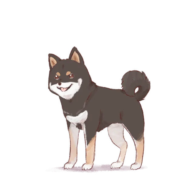 柴犬のワンコの姿