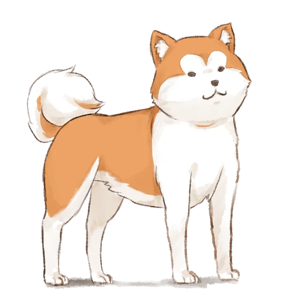 秋田犬のワンコの姿