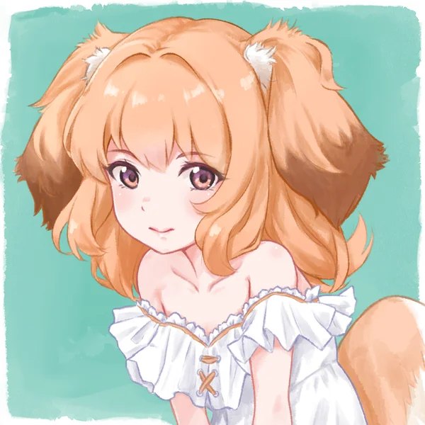 コーイケルホンディエのわん娘の姿