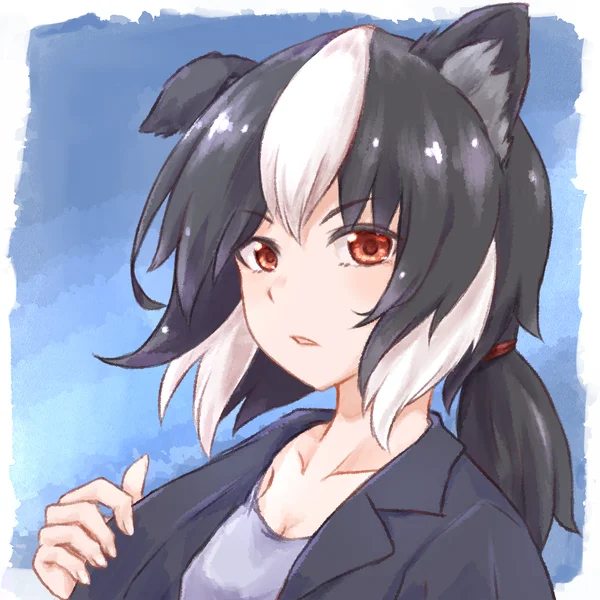 ボーダー・コリーのわん娘の姿